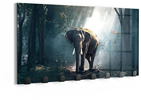 DEQORI Wandgarderobe Glas & Metall | Motiv Elefant im Wald | 60x30 cm | Design Haken-Leiste modern | Garderoben-Paneel für Flur, Wohnzimmer & Schlafzimmer | magnetisch & beschreibbar