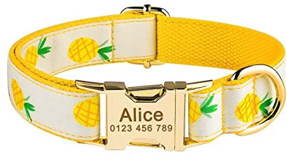 Benutzerdefinierte Verstellbare Nylon Personalisierte Schöne Tag Hundehalsband Graviert Name Hundehalsband Welpen Klein Mittel Groß Unisex Hundehalsband,Ananas,S