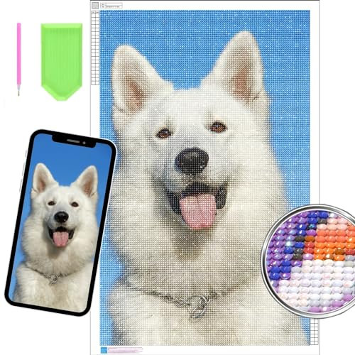Dr Custom 5D Diamond Painting Personalisiertes Foto, Selbst Gestaltung mit Ihrem Bild, persönliches Design-Set für Erwachsene zur Wohnraumdekoration