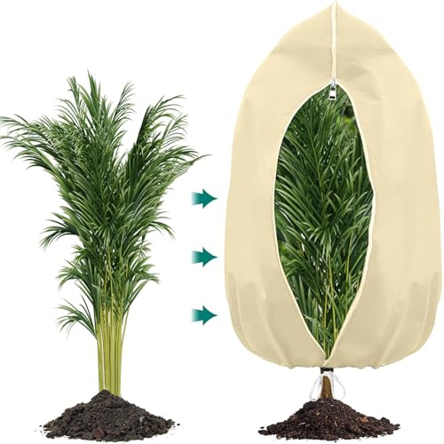 PHUSTJKL Winterschutz für Pflanzen, Winterschutz für Kübelpflanzen Frostschutz, Atmungsaktiv Wiederverwendbar Pflanzenschutzhaube mit Zugband für Balkonpflanzen - Beige, 160x180cm