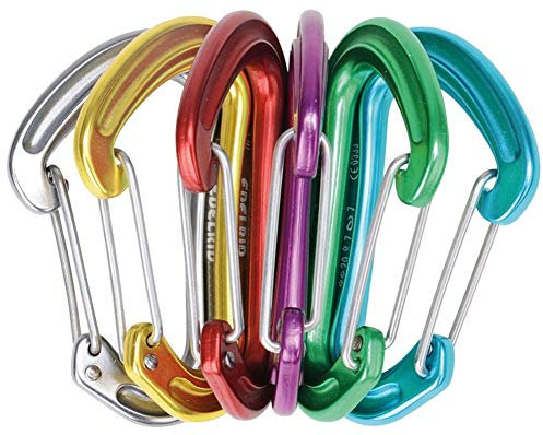 EDELRID Karabiner Nineteen G Secherpack (Drahtschnapper, bunt)