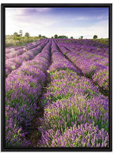 Pixxprint Lavendelfeld Provence Leinwandbild 80x60 cm im Bilderahmen, Wandbild, Schattenfugenrahmen, Kein Poster