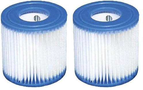 Intex 29007 Filter Cartridge Type H for Filter Pump 1250 L Multi-Colour Single Filter (Paquete de 2)