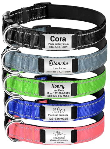 Personalisiertes Hundehalsband mit Name, Reflektierend für Hunde | Personalisiertes Hundehalsband: Fügen Sie Name und Telefonnummer hinzu für schnelle Identifikation und individuellen Stil.