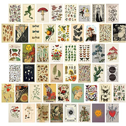 jiuzcare Tarjetas Decorativas de Papel, Set de 50 Postales Decorativas Estilo Botánico con Insectos, Setas, Ranas y Conchas para Decoración de Pared, Habitación, Dormitorio y Collage de Pared Natural