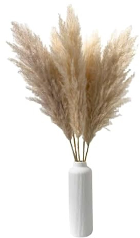Pack de 5 Ramas Secas de Plumero Perfectas para Decoraciones Modernas y Elegantes