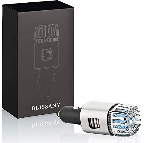 BLISSANY Auto Lufterfrischer mit zwei USB-Ports, ionisiert & reinigt die Luft, entfernt schlechte Gerüche, ideal für Allergiker + Raucher (Silver)