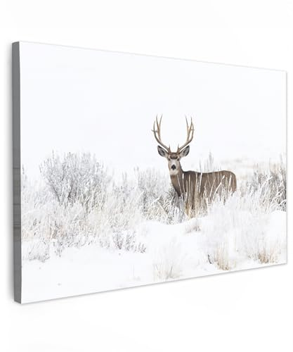 MuchoWow© Leinwand Groß XXL Deko Schlafzimmer Aesthetic Leinwandbilder | 120x80 cm - Wohnzimmer Gemälde Foto Geschenk Living Room Decoration Hirsch Bild - Rotwild - Reh - Winter - Schnee - Tiere