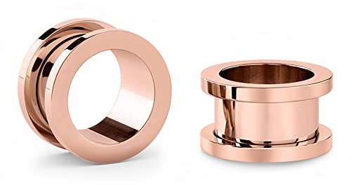Jewel Barrel Pair Flesh Tunnlar 2 st öronsträckare expanderare dubbelutsvängd skruvpassform piercing kirurgiskt stål 1,6 mm – 20 mm silver svart roséguld regnbåge blå, 316L Sugiskt stål