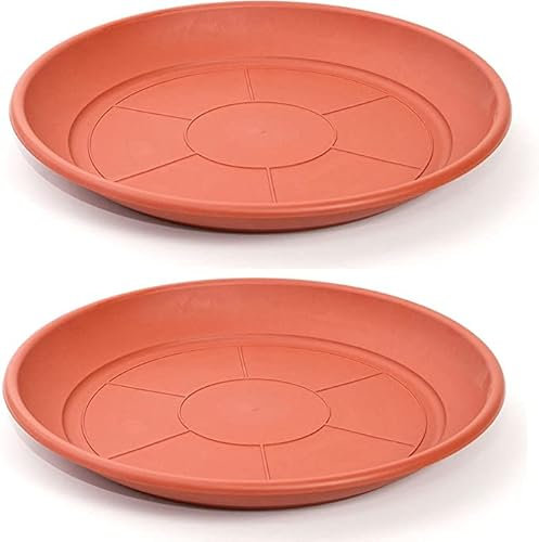 Pack 2 Plato para Maceta de Plástico PVC/Platillo Marrón/Bandeja Redonda (30 cm)