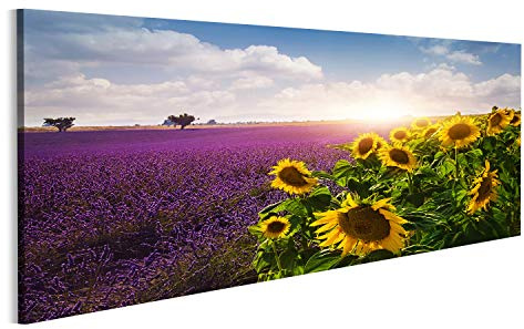islandburner Bild Bilder auf Leinwand Lavendel und Sonnenblumen Felder, Provence Wandbild, Poster, Leinwandbild NTG
