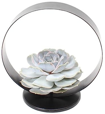 ROOTLESS by Aloe Demi | verdadera suculenta lila sobre mesa decorativa de metal estándar Ø20 cm | Echeveria Lilacina Ø12-14 cm – 5 cm | plantas suculentas | plantas suculentas | cactus