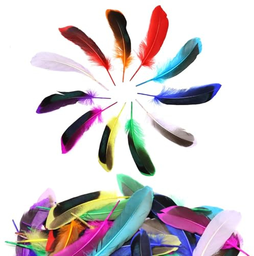 DNDGDLUA 50 bunte Federn, Handwerksfedern, natürliche Federn, Handwerksfedern, flauschige Federn, gemischte Farben, für Bastelarbeiten, Partys, Dekorationen, Hüte oder Haare.