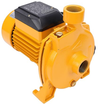 Hamwesh Bomba Centrífuga, Bomba de Agua Autocebante de 750 W con Salida de 1 Pulgada y Diseño de Rodamiento de Bolas Doble, Bombas de Refuerzo Silenciosas para Aspersión de Césped (Enchufe europeo