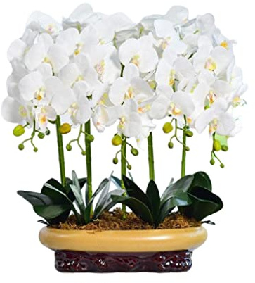 ZTCHSENZT Fiori Artificiali, Orchidee Artificiali in Vaso di Ceramica, per Casa, Stanza, Cucina, Ufficio, Matrimonio, Orchidee Artificiali Che Sembrano Vere per Ogni Occasione.,White