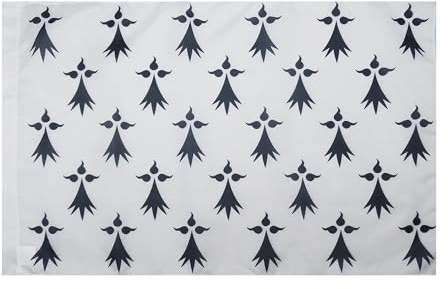 AZ FLAG Drapeau Province de Bretagne 150x90 cm Polyester 100D Fourreau | Usage intérieur et extérieur Drapeau décoratif breton coutures doubles et bords renforcés avec fourreau pour mât