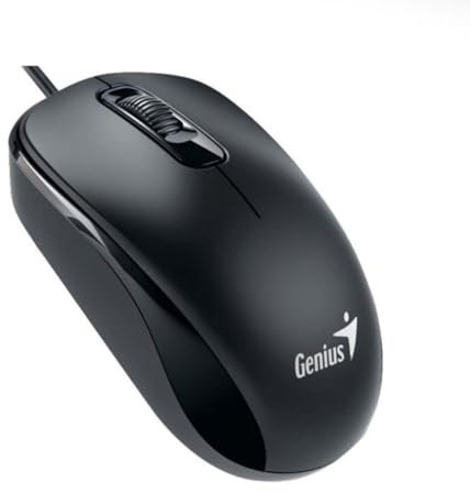 Genius DX-110 mouse, optical, 1000 dpi, wired, USB, black 31010116100