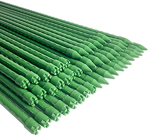 WAENLIR Bastoncini da giardino robusti per piante, 75 cm, supporto per pomodoro, confezione da 25
