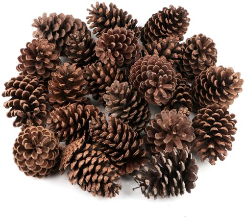 24 Stück Natürlich Getrocknete Tannenzapfen Natürliche Tannenzapfen zum Basteln Groß Kiefernzapfen für Weihnachten Deko Adventskranz Deko Weihnachtsbaum DIY Basteln Winter Deko