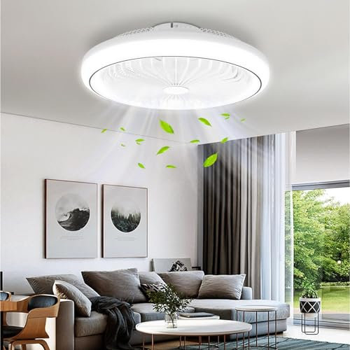 wowspeed Ventilatore da Soffitto con Luce e Telecomando, Ø47cm, 3 Temperature di Colore 3000K 4000K 6500K Dimmerabile, 45W Moderno Plafoniera con Ventilatore Silenzioso, 6 Velocità, Timing