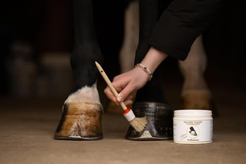 Golden Champ Hufbalsam Deluxe mit Propolis & ätherischen Ölen – 500 ml Intensive Pflege für trockene & brüchige Hufe