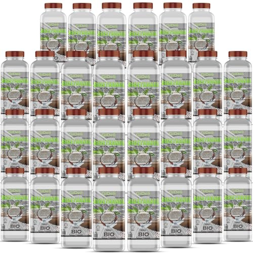 GiDeli Bioetanol 30 x 1 l de aroma de coco 96,6% etanol para chimeneas interiores y exteriores, sin humo ni hollín, de maíz y remolacha azucarera