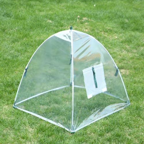Zilimontt Bâche de serre d'extérieur pour protection des plantes d'hiver - 60 x 60 x 60 cm - Tente de gel avec clous au sol - Mini tente de serre en plastique robuste pour arbustes (C)