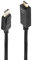 LINDY 36923 3m DisplayPort an HDMI 10.2G Kabel, Schwarz
