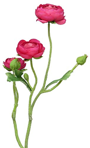 artplants.de Kunstblumen Zweig Ranunkel JIXIANG, pink, 50 cm | Künstliche Blume