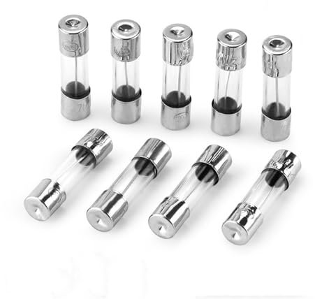 CAAUYXZW 20 Stück flinke Glassicherungen 5 x 20, 5 x 20 mm, 250 V, 0,1 A, 0,2 A, 0,5 A, 1 A, 2 A, 3 A, 4 A, 5 A, 6 A, 8 A, 10 A, 15 A, 20 A, 25 A, 30 A, AMP-Röhrensicherungen(2A)
