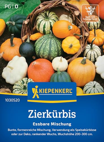 Kiepenkerl Zierkürbissamen Essbare Mischung 1030520 - Kürbissamen in verschiedenen Farben und Formen, als Speisekürbis oder zur Deko, rankender Wuchs bis zu 300 cm