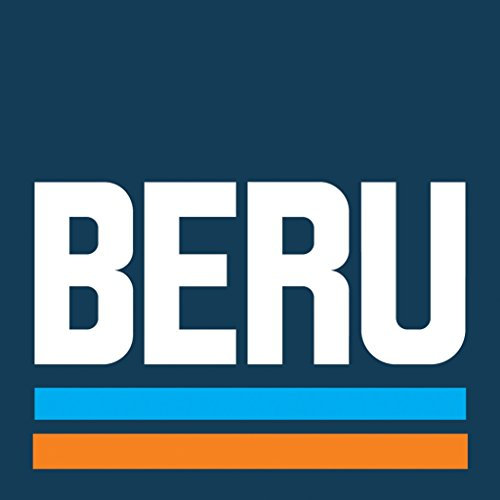 Beru AG 0100221141 Glühkerze