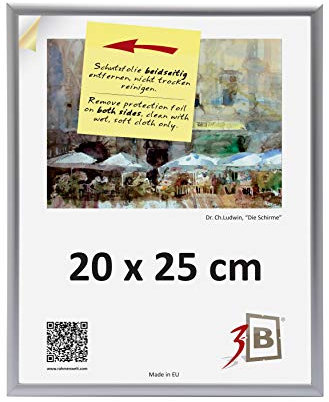 3-B Cornice ALU FOTO 20x25 cm - argento opaco - cornice per in alluminio foto con vetro acrilico