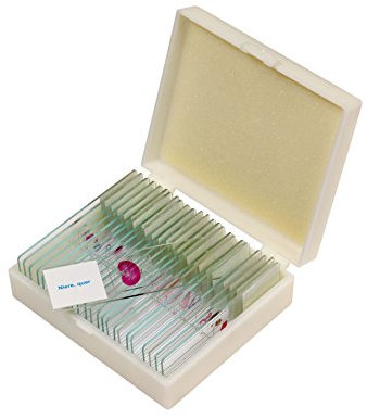 Betzold - Präparate-Set 3 – 25 Stück, Zubehör für Mikroskop, Biologie, organische Objekte