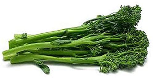 UtopiaSeeds Sorrento Broccoli Raab Seeds - Sorrento Rapini Seeds - Broccoli Raab Seeds