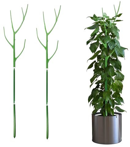 Pflanzenstütze, Pflanzstäbe 100cm Pflanzstab Grüne Pflanzenstab Pflanzenstützen, Tomatenstäbe Tomaten Rankhilfe, Rankstab Rankstäbe Für Haus Garten Kletterpflanze Erweiterung Der Pflanzenstütze (2pcs)