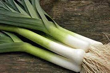vegherb Graines de poireau, Drapeau américain, 25+ Graines, Heirloom, Non ogm, Biologique, Great for Soup
