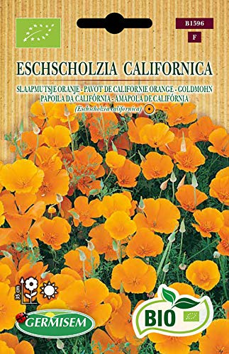 Germisem Goldmohn ESCHSCHOLZIA CALIFORNICA, ECBIO1596