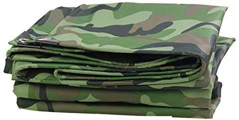 SBTXHJWCGLD Tarpaulin Plane Rain Shade Cloth Tarp Plane Markise Groundsheet -Plane Tarps Poncho Jungle Verdickter Sonnenschutz (Size : 1.5 * 2m)