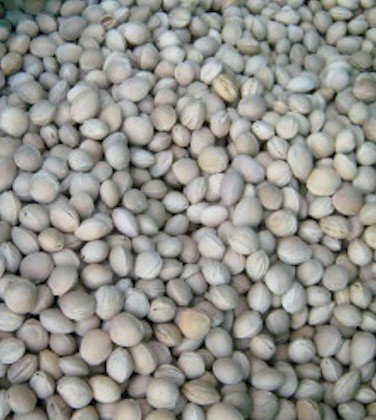 Brow Farm Cherry Stones (Cherry Pits) for Heat Packs, Cushions & Crafts – Natural Filler for Hot & Cold Use (750g)