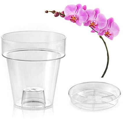 Teraplast Porto Jarrón Transparente con Soporte para orquídeas, con 4 Agujeros de Drenaje, jarrón de 14 cm de diámetro, Completo con platillo