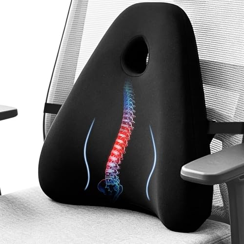 RaMokey Lumbar Support Cushion for Lower Back Pain Relief | Ergonomic Memory Foam Back Support for Office Chair, Car, Breathable Mesh Cover with Adjustable Strap