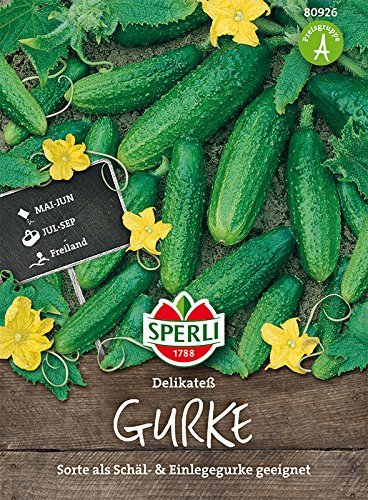 Sperli Landgurke 'Delikatess' | klassische Einlegegurke | Päckchen Samen