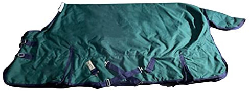HARICSET Weidedecke Winterdecke Pferd Abschwitzdecke Pferd Gepolstert Weich Bequem Ideal für Boxen Widerstandsfähig mit Verstärkten Nylonkanten Ohne Baumwolle(Size:200cm(79in),Color:grün)