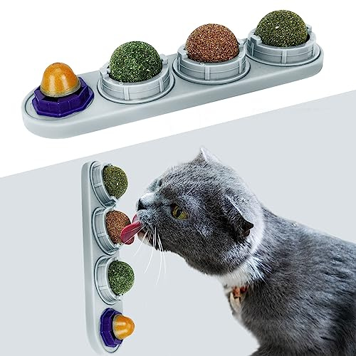TOHDNC Kattgräsboll för, paket med 4 kattbitande leksaker, kattungeleksaker, extra kattslickande energibollar, hälsosamma tuggleksaker kattunge tandrengöring
