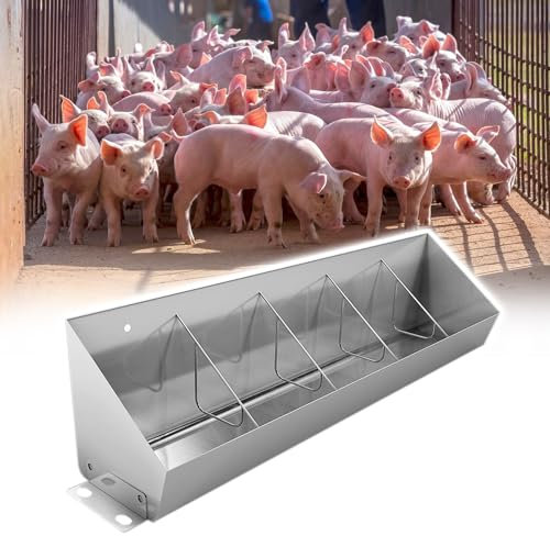 Futtertrog aus Edelstahl mit Trennleiste für Schweine und Geflügel, robuste Futterstation für Schweine und Geflügel, für den privaten und geschäftlichen Gebrauch