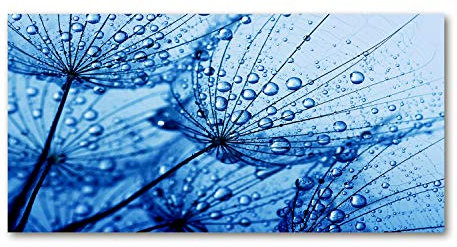 Tulup Leinwandbild - Wandkunst - Drucke auf Leinwand - Leinwanddruck -100x50 cm - Blumen & Pflanzen - Blau - Pusteblume
