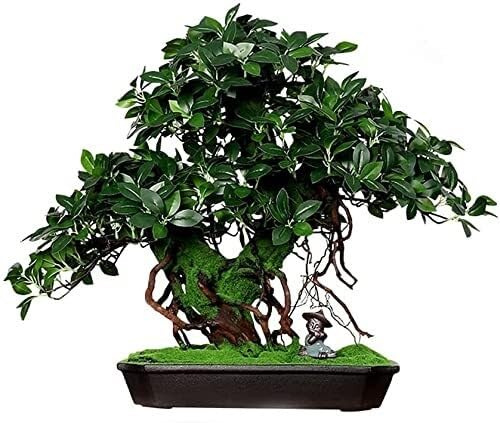 Bonsai Artificiale di baniano con Piccolo Monaco in Ceramica, pianta Verde in Vaso per la Decorazione di Soggiorno e Ufficio