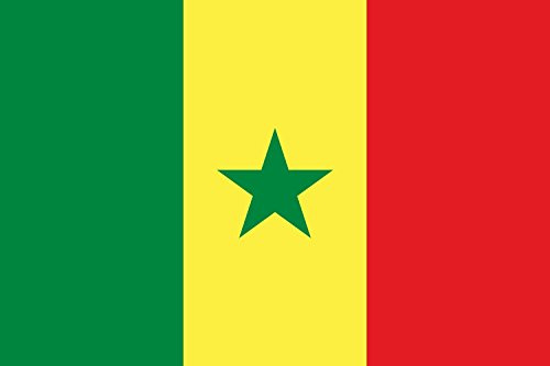 magFlags Drapeau Large+ Sénégal | drapeau paysage | 1.5m² | 100x150cm