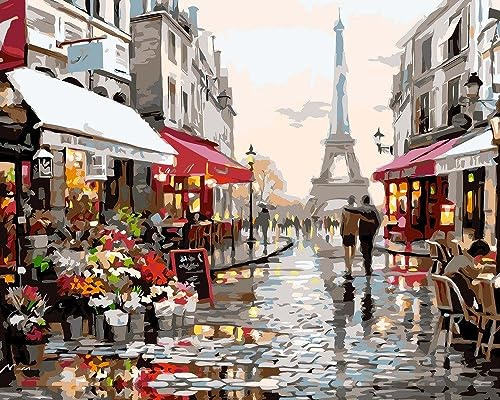 Artnapi Dipingere con i numeri, adulti senza cornice, dipinta a mano, coppia di sposi a Parigi, kit per principianti e adulti, set con colori acrilici e pennelli, tela da 40 x 50 cm